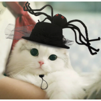 Quality Handmade Pet headdress halloween dog headgear spider cat funny hat