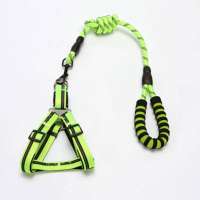 FANGJUU Fashional strong nylon weave pet training accessories dog leash collar harness